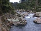 140 Karangahake Gorge 1999 Walkway.JPG (108 KB)
